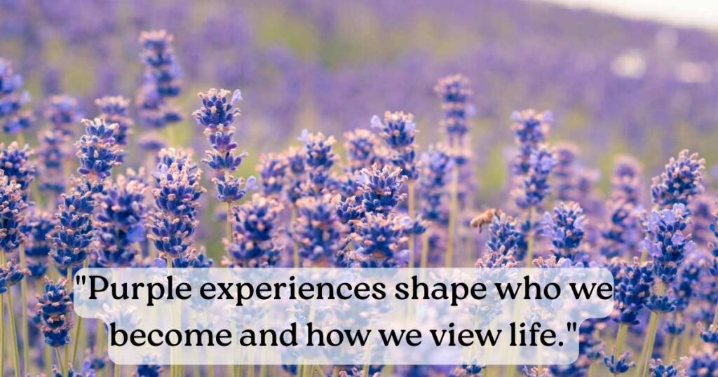 Purple Quotes About Life
