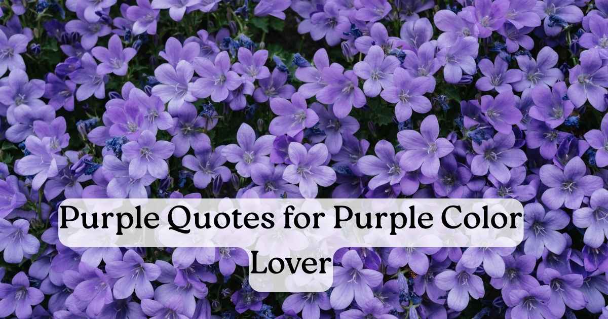 Purple Quotes